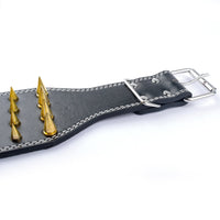 HKM-225747 Crocodile Pattern PU Leather Dog Collar with Spikes - Adjustable Size, 7.5 cm Wide