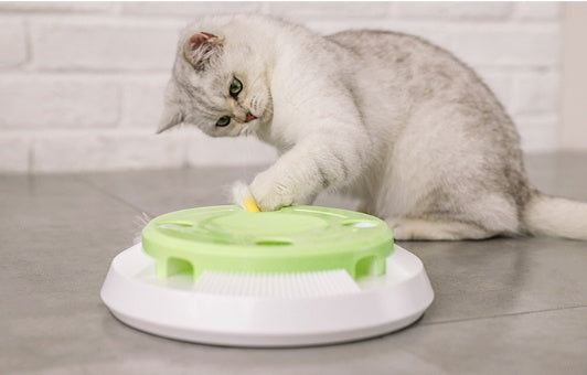 HKM-227475 Electric funny cat tray toy