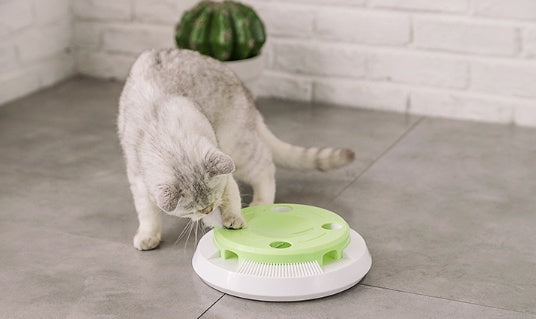 HKM-227475 Electric funny cat tray toy