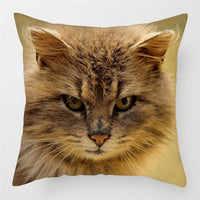HKM-228243 Modern Peach Skin Cushion Cover - 45x45cm, Soft PP Cotton Filling, Hairless Design for Home Decor