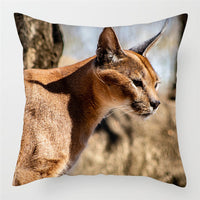 HKM-228243 Modern Peach Skin Cushion Cover - 45x45cm, Soft PP Cotton Filling, Hairless Design for Home Decor