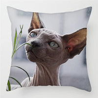 HKM-228243 Modern Peach Skin Cushion Cover - 45x45cm, Soft PP Cotton Filling, Hairless Design for Home Decor