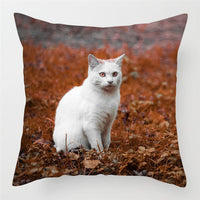 HKM-228243 Modern Peach Skin Cushion Cover - 45x45cm, Soft PP Cotton Filling, Hairless Design for Home Decor