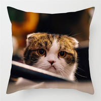 HKM-228243 Modern Peach Skin Cushion Cover - 45x45cm, Soft PP Cotton Filling, Hairless Design for Home Decor