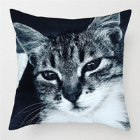 HKM-228243 Modern Peach Skin Cushion Cover - 45x45cm, Soft PP Cotton Filling, Hairless Design for Home Decor