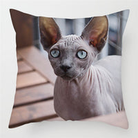 HKM-228243 Modern Peach Skin Cushion Cover - 45x45cm, Soft PP Cotton Filling, Hairless Design for Home Decor