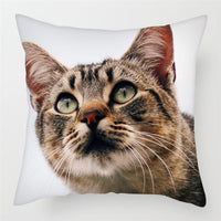 HKM-228243 Modern Peach Skin Cushion Cover - 45x45cm, Soft PP Cotton Filling, Hairless Design for Home Decor
