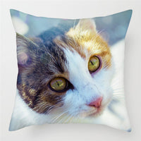 HKM-228243 Modern Peach Skin Cushion Cover - 45x45cm, Soft PP Cotton Filling, Hairless Design for Home Decor