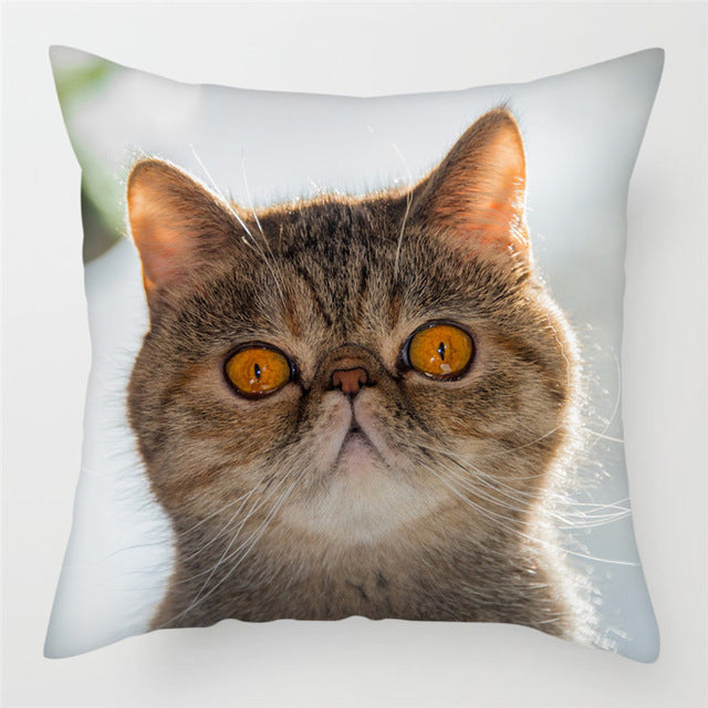 HKM-228243 Modern Peach Skin Cushion Cover - 45x45cm, Soft PP Cotton Filling, Hairless Design for Home Decor