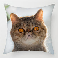 HKM-228243 Modern Peach Skin Cushion Cover - 45x45cm, Soft PP Cotton Filling, Hairless Design for Home Decor