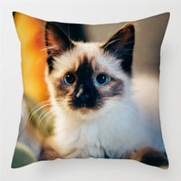 HKM-228243 Modern Peach Skin Cushion Cover - 45x45cm, Soft PP Cotton Filling, Hairless Design for Home Decor