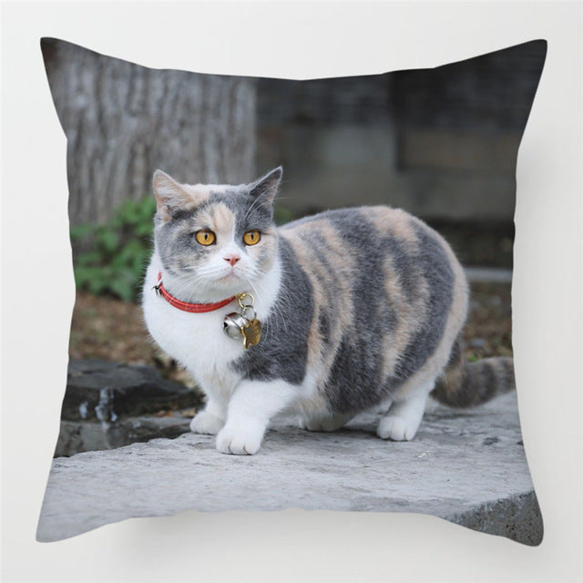 HKM-228243 Modern Peach Skin Cushion Cover - 45x45cm, Soft PP Cotton Filling, Hairless Design for Home Decor