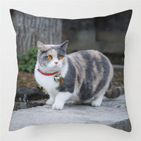 HKM-228243 Modern Peach Skin Cushion Cover - 45x45cm, Soft PP Cotton Filling, Hairless Design for Home Decor