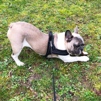 HKM-228371 Fleece Adjustable Dog Vest with Pet Chest Harness and Reflective Strips