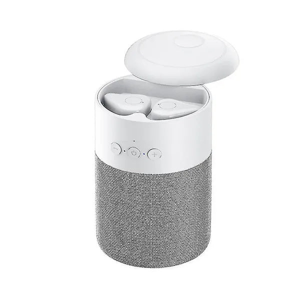 HKM-228371 Wireless Earbuds and Portable Bluetooth Speaker with Charging Case