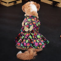 HKM-228819 Angel Wings Halloween Dog Costume for Pets in Bright Pumpkin and Bat Colors - Sizes S, M, L, XL