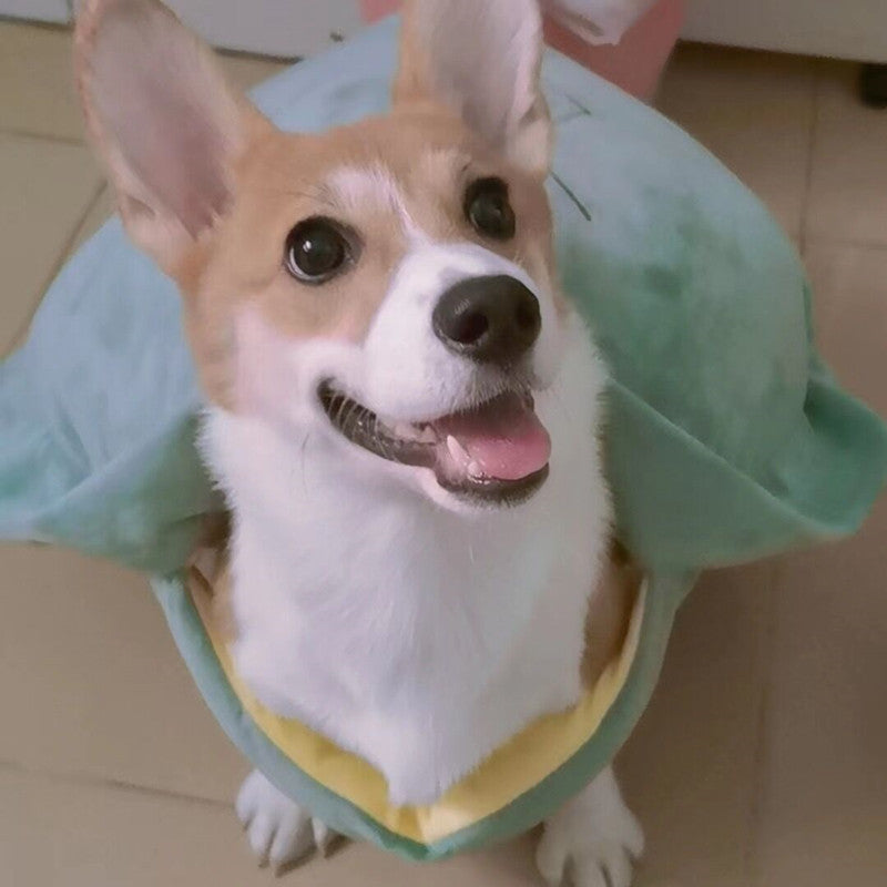 HKM-229907 Turtle Shell Pet Vest for Small and Medium Pets - Soft Cotton Velvet, Cute Design
