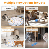 HKM-230355 Interactive Motion Activated Cat Toy Ball - Rechargeable Indoor Hide and Seek Game for Cats
