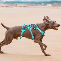 HKM-230675 Liftable Reflective Pet Harness with Adjustable Straps - Pomegranate & Sunflower Colors