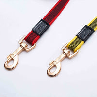 HKM-234771 Non-Slip Traction Dog Leash for Golden Retrievers and Large Breeds - Durable Nylon with Copper Hook