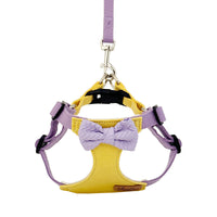 HKM-235283 Small Dog Hand-Holding Rope Vest with Chest Harness and Leash