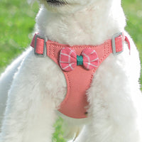 HKM-235283 Small Dog Hand-Holding Rope Vest with Chest Harness and Leash