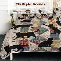 HKM-238227 Black Cat Multi-Posture 3D Quilt Set with 2 Pillow Shams - All Season Bedding for Queen and King Sizes