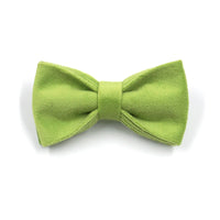 HKM-239251 Matcha Green Velvet Dog Collar with Gold Buckle and Bow, Sizes XS to XL