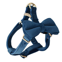 HKM-239571 Flannel Gold Buckle Adjustable Dog Harness with Leash - Multiple Sizes Available