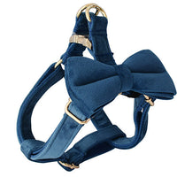 HKM-239571 Flannel Gold Buckle Adjustable Dog Harness with Leash - Multiple Sizes Available