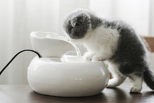 HKM-240403 Automatic Ceramic Cat Water Dispenser in White and Pink with Fine Filtration System