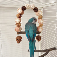 HKM-240467 Wooden Parrot Swing Stand with Natural Log for Perched Playtime - Small and Large Sizes Available