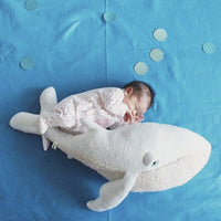 HKM-240659 Super Soft Whale Dolphin Pillow for Babies - Plush Marine Animal Throw Pillow