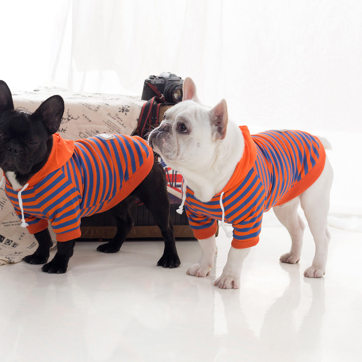 HKM-242259 Cozy Cotton Fleece Hooded Sweatshirt for Dogs in Orange - Autumn and Winter Style