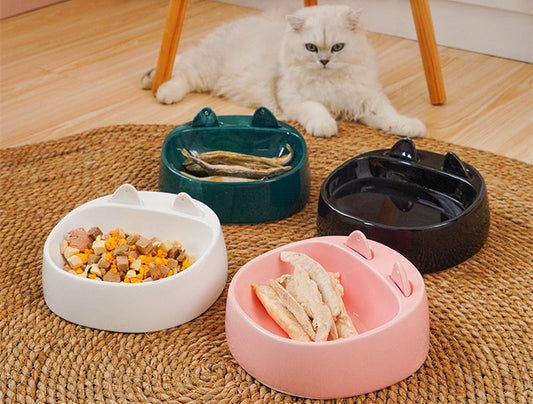 HKM-247315 Ceramic Drinking Water Rice Bowl for Pets with Spoon - Automatic Feeding Cat Bowl