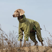 HKM-247955 Windproof Turtleneck Jacket for Large Dogs – Warm Outdoor Shell in Turmeric and Army Green, Sizes XL to 5XL