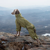 HKM-247955 Windproof Turtleneck Jacket for Large Dogs – Warm Outdoor Shell in Turmeric and Army Green, Sizes XL to 5XL