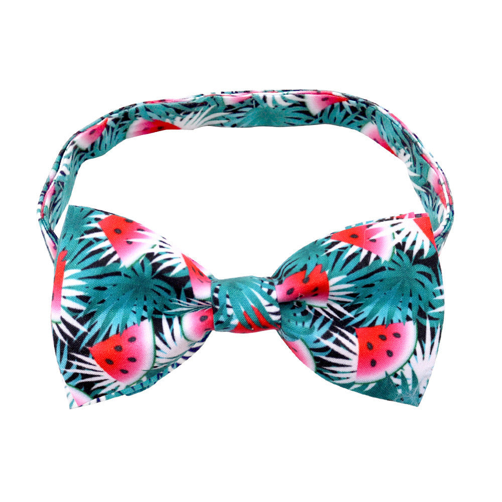 HKM-249107 Tropical Fruit-Themed Bow Tie for Small Dogs and Cats - Cactus, Pineapple, and More