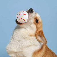 HKM-249619 Interactive Dog Toy Ball and Ring – Soft, Durable, Floatable Chew Toy for Medium and Large Dogs
