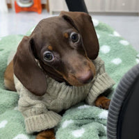 HKM-251155 Warm Sausage Sweater for Pets in Greige - Multiple Sizes Available