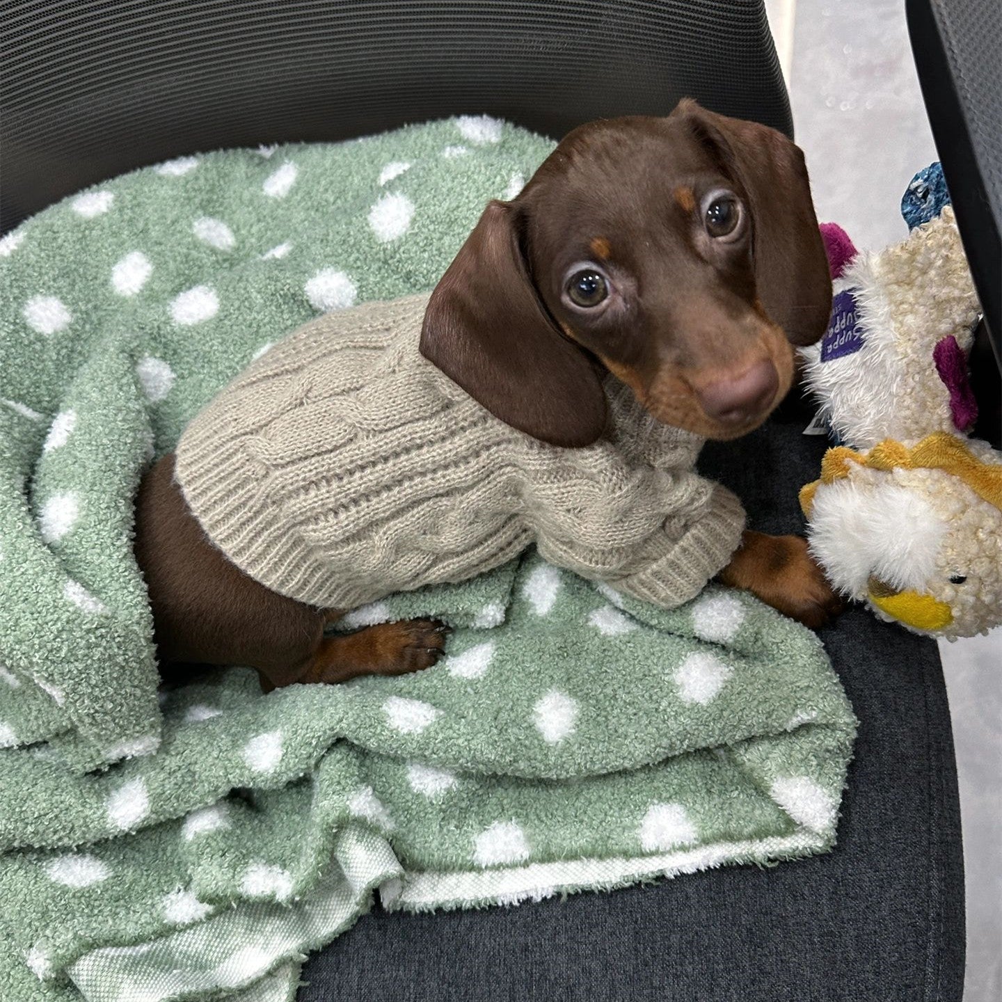 HKM-251155 Warm Sausage Sweater for Pets in Greige - Multiple Sizes Available