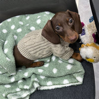 HKM-251155 Warm Sausage Sweater for Pets in Greige - Multiple Sizes Available
