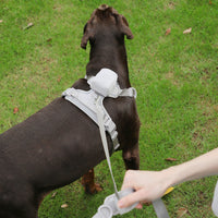HKM-253075 Gray Corduroy Pet Collar and Chest Strap with Walking Leash and Mini Backpack