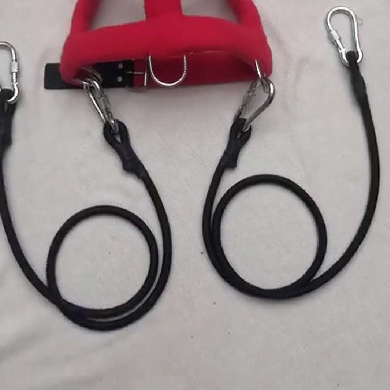 HKM-254227 Elastic Training Chest Strap and Buffer Rope Set for Dogs (Small to Super Large)