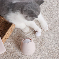 HKM-255379 Cat Knot Toy for Playtime | Plastic with Cotton Ball | 7x7x9cm | Requires 2 AA Batteries
