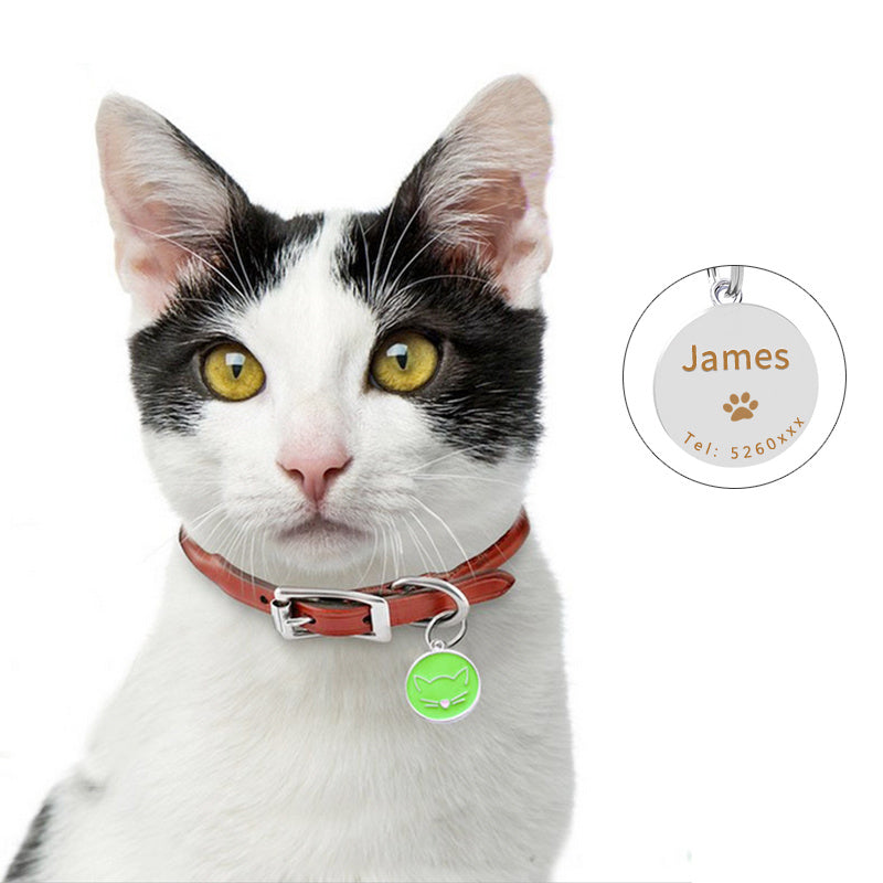 HKM-256531 Cartoon Pet Collar Pendant in Green, Blue, White, Black, Red, Light Pink - Alloy Jewelry for All Seasons