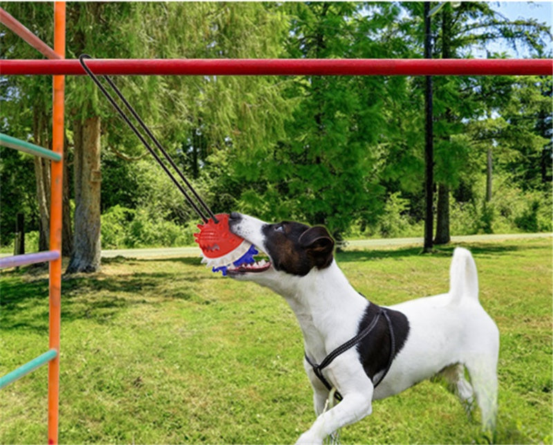 HKM-256787 Durable Outdoor TPR Dog Teething Toy with Strong Draw Rope and Vibrant Colors