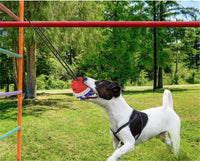 HKM-256787 Durable Outdoor TPR Dog Teething Toy with Strong Draw Rope and Vibrant Colors