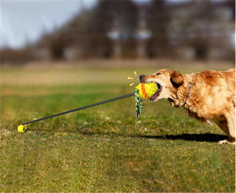 HKM-256787 Durable Outdoor TPR Dog Teething Toy with Strong Draw Rope and Vibrant Colors