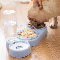 HKM-256851 Automatic Double Bowl Feeder with Water Dispenser for Pets - Available in Blue, Pink, Gray, Green
